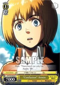 "Confusion" Armin