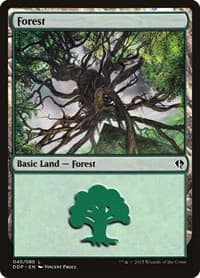Forest (040)