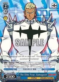 The Elite Four, Gamagoori