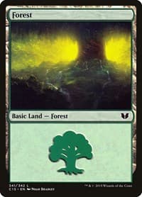 Forest (341)