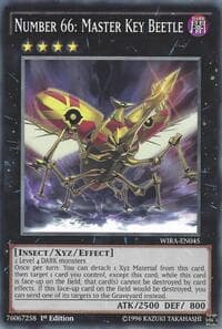 Number 66: Master Key Beetle
