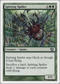 Spitting Spider