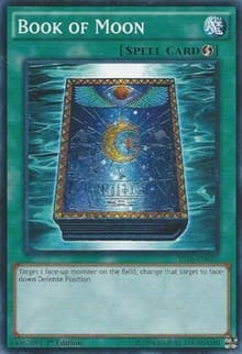 Book of Moon
