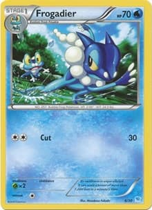 Frogadier (21)