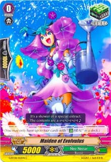 Maiden of Evolvulus