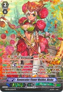 Ranunculus Flower Maiden, Ahsha (SP)