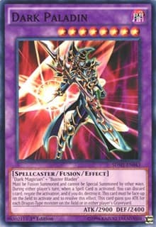Dark Paladin