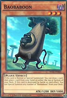 Baobaboon