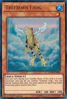 Treeborn Frog