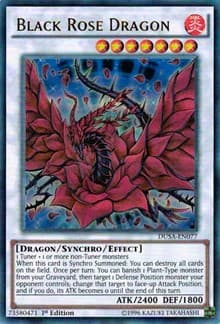 Black Rose Dragon