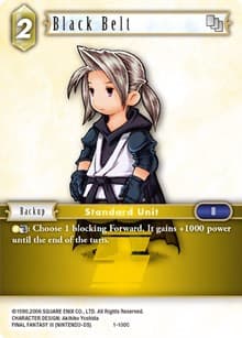 Black Belt (Luneth) - 1-100C