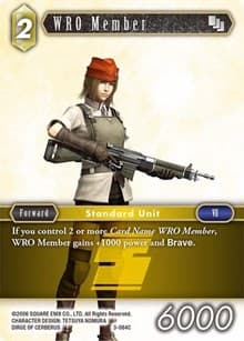 WRO Member (3-084C)
