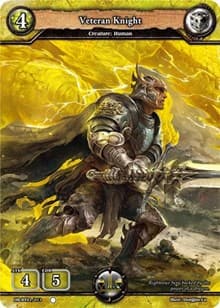 Veteran Knight