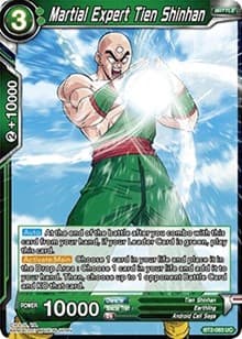 Martial Expert Tien Shinhan