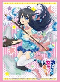 Bushiroad Sleeve Collection HG Vol.1094: And You Thought There is Never a Girl Online? - Ako (60-Pack)