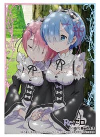 Bushiroad Sleeve Collection HG Vol.1143: Re:ZERO - Rem & Ram (60-Pack)
