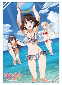 Bushiroad Sleeve Collection HG Vol.1304: Saekano: How to Raise a Boring Girlfriend Flat (60-Pack)
