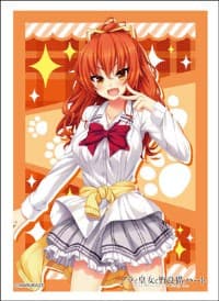 Bushiroad Sleeve Collection HG Vol.1323: Nora to Oujo no Noraneko Heart - Yuuki Asuhara (60-Pack)