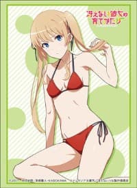 Bushiroad Sleeve Collection HG Vol.1482: How to Raise a Boring Girlfriend Flat - Eriri Spencer Sawamura (Swimsuit) (60-Pack)
