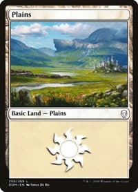 Plains (250)