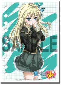 Bushiroad Sleeve Collection HG Vol.172: Haganai - Sena Kashiwazaki (60-Pack)