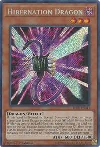 Hibernation Dragon