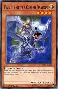 Paladin of the Cursed Dragon