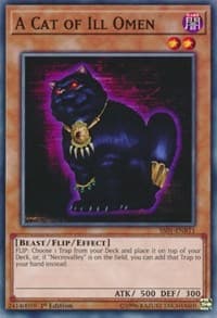 A Cat of Ill Omen