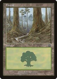 Forest (349)