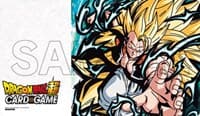 Dragon Ball Super: National Championship Finals 2018 - Top 16 Playmat