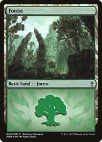 Forest - Gruul (B08)