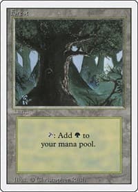 Forest (C)
