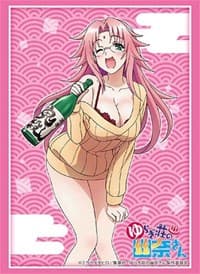 Bushiroad Sleeve Collection HG Vol.1863: Yuragi-sou no Yuuna-san - Nonko Arahabaki (60-Pack)