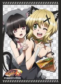 Bushiroad Sleeve Collection HG Vol.1895: Senki Zessho Symphogear AXZ - Shirabe & Kirika (60-Pack)
