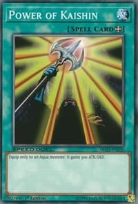 Power of Kaishin