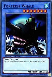 Fortress Whale