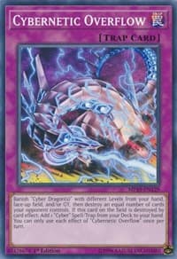 Cybernetic Overflow