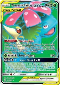 Venusaur & Snivy GX (Full Art)