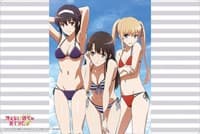 Bushiroad Rubber Mat Collection Vol.446: Saekano: How to Raise a Boring Girlfriend Flat - Megumi, Eriri, & Utaha