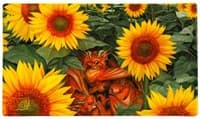 Dragon Shield Playmat (Limited Edition) - Dyrkottr Dragon of Curiosity