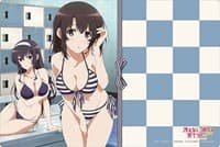 Bushiroad Rubber Mat Collection Vol.571: Saekano: How to Raise a Boring Girlfriend Flat - Megumi & Utaha
