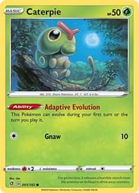 Caterpie