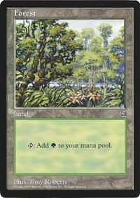 Forest (Arena League)