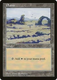 Plains (Arena League)