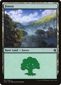 Forest (071)