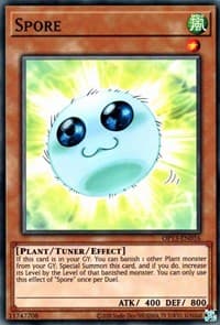 Spore