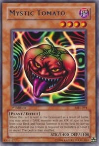 Mystic Tomato