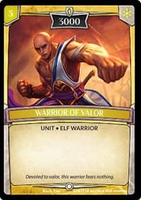 Warrior of Valor
