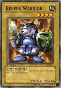 Beaver Warrior