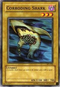 Corroding Shark